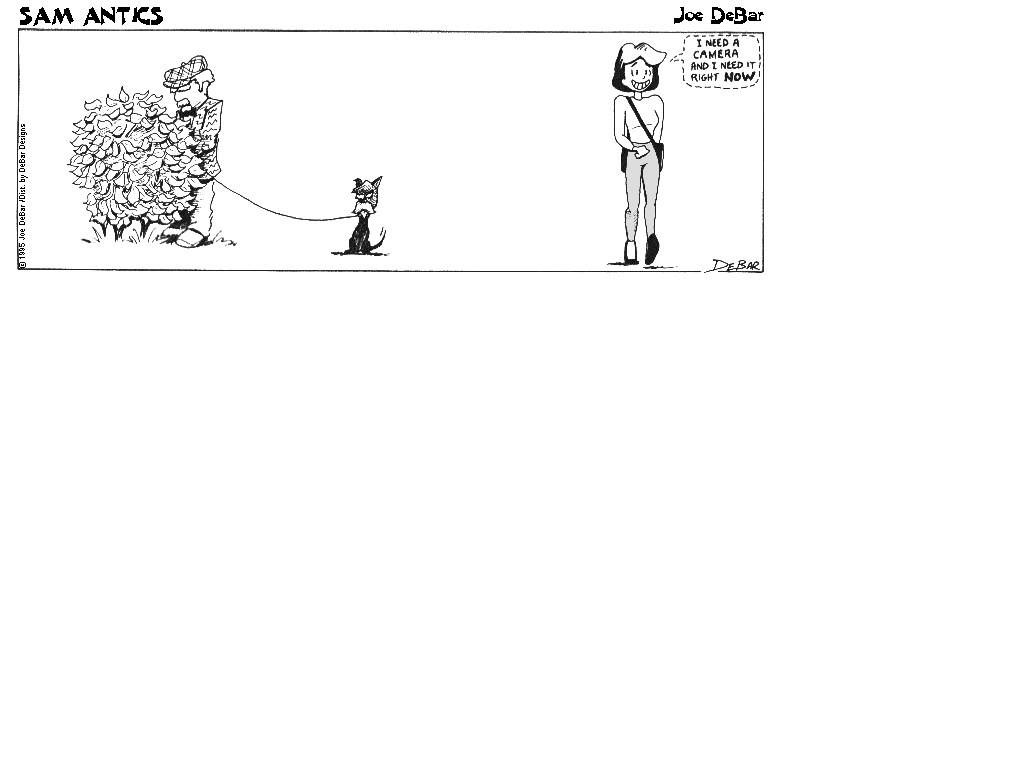 <strip>