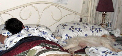 She was supposed to wake him up